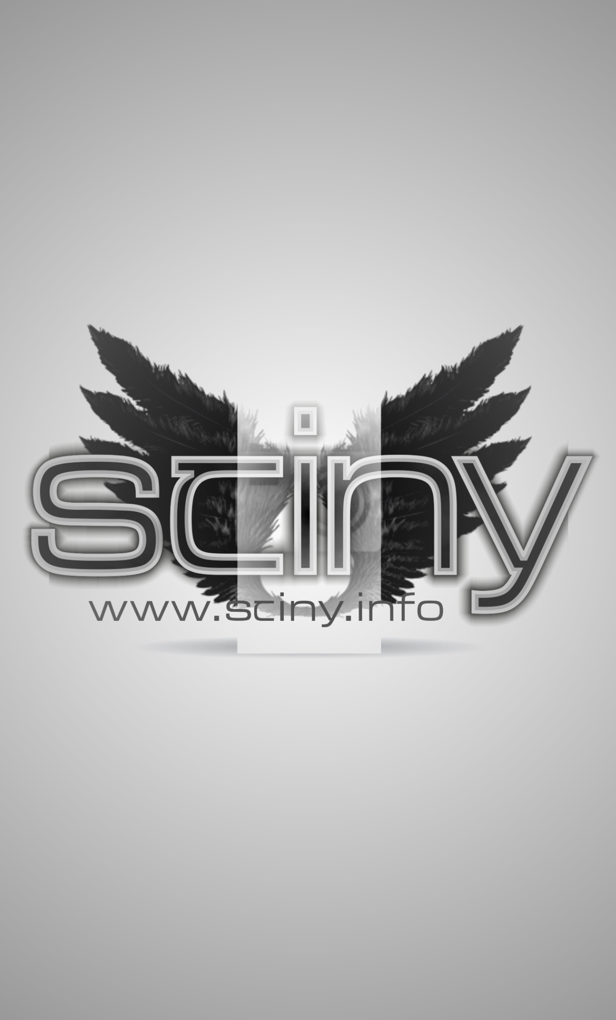 stiny_logo
